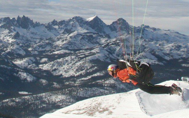 Kari Flying High crop